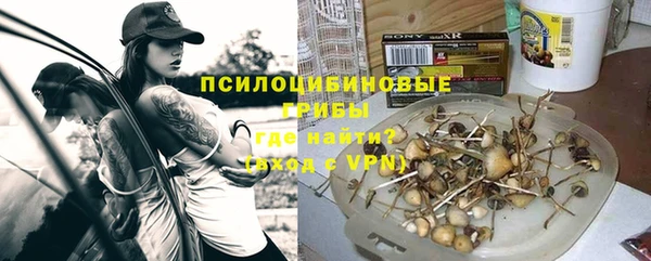 соль ск Алексеевка