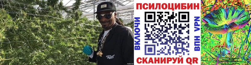 даркнет телеграм  купить закладку  Карпинск  Галлюциногенные грибы мицелий 